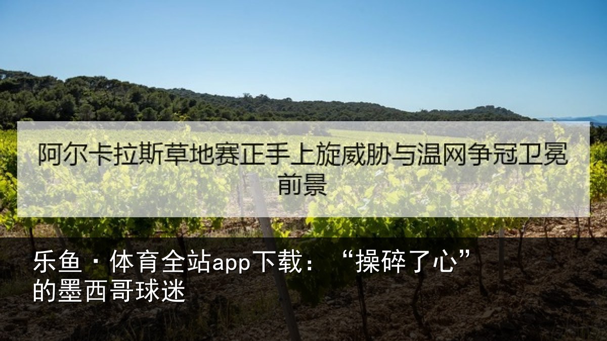 乐鱼·体育全站app下载:“操碎了心”的墨西哥球迷