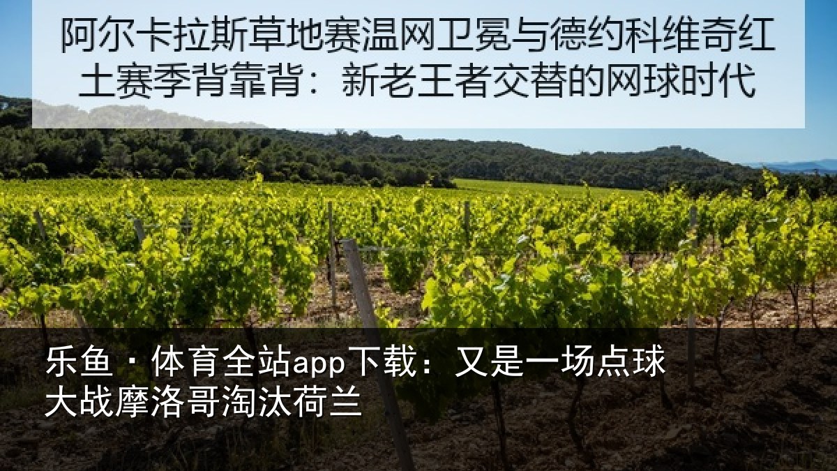 乐鱼·体育全站app下载:又是一场点球大战摩洛哥淘汰荷兰