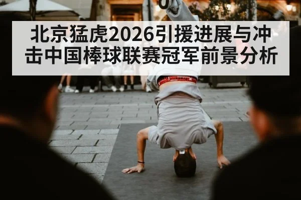 北京猛虎2026引援进展与冲击中国棒球联赛冠军前景分析